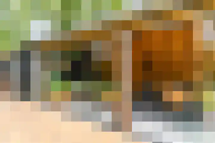 Rijksweg 53 Ten Boer thumbnail 48