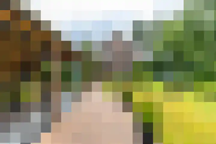 Rijksweg 53 Ten Boer thumbnail 49