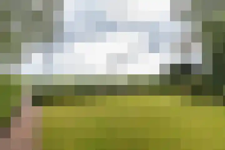 Rijksweg 53 Ten Boer thumbnail 5