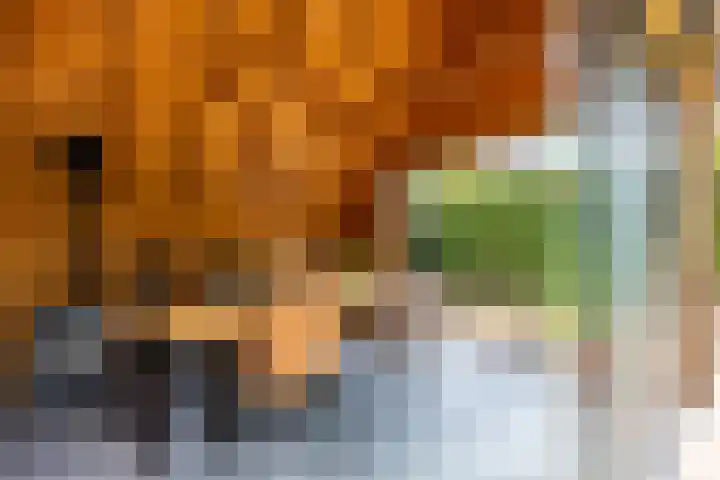Rijksweg 53 Ten Boer thumbnail 50
