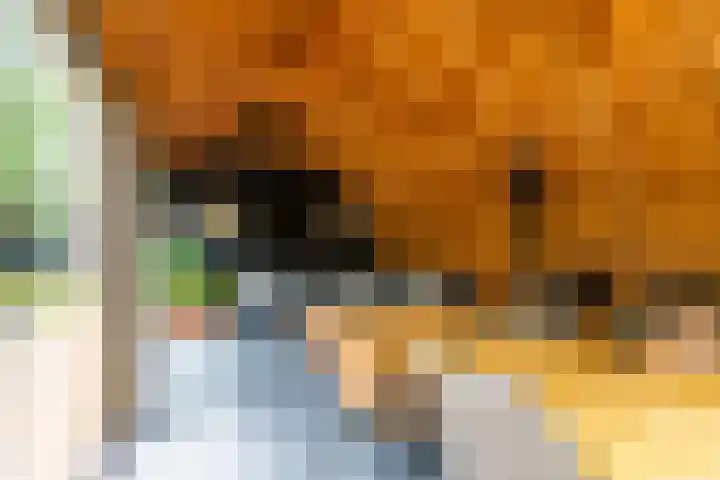 Rijksweg 53 Ten Boer thumbnail 51
