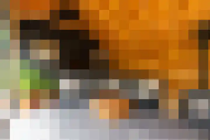 Rijksweg 53 Ten Boer thumbnail 52