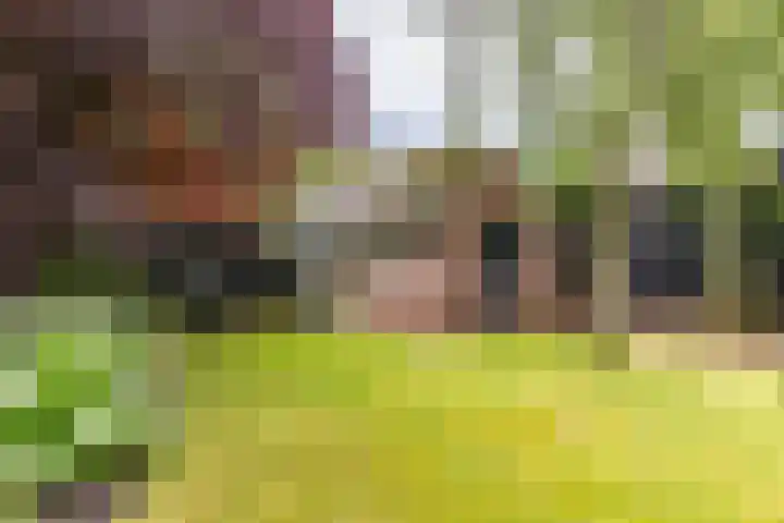 Rijksweg 53 Ten Boer thumbnail 54