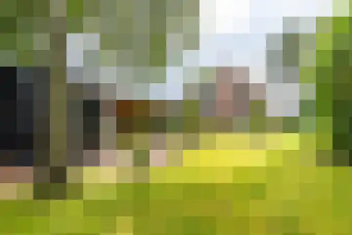 Rijksweg 53 Ten Boer thumbnail 55