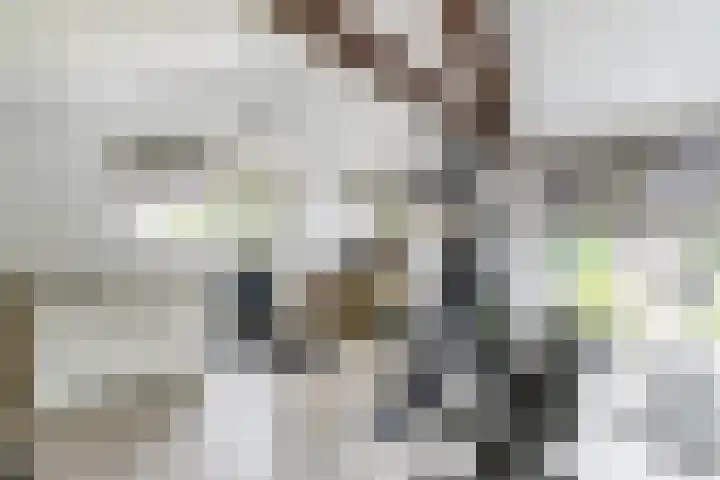 Rijksweg 53 Ten Boer thumbnail 57