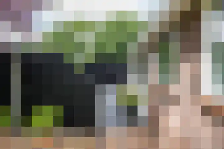 Rijksweg 53 Ten Boer thumbnail 58
