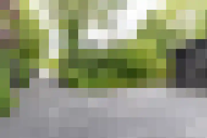 Rijksweg 53 Ten Boer thumbnail 59