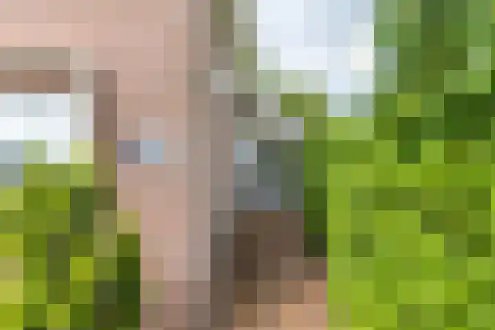 Rijksweg 53 Ten Boer thumbnail 6