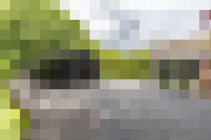Rijksweg 53 Ten Boer thumbnail 60