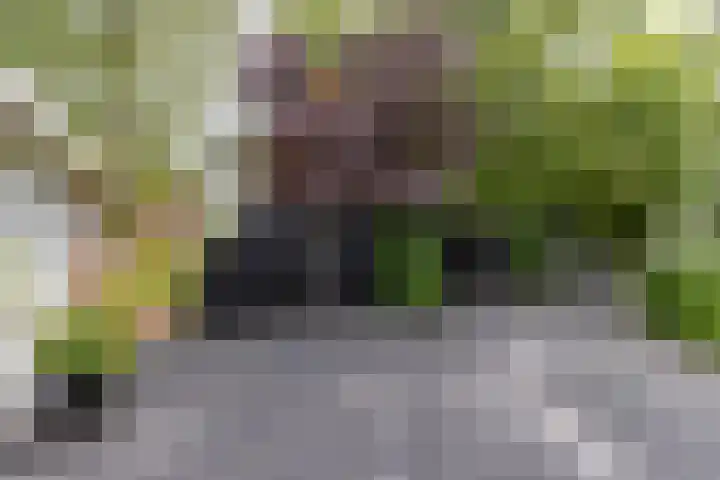 Rijksweg 53 Ten Boer thumbnail 61