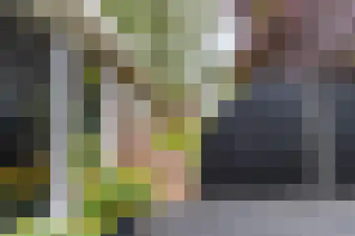 Rijksweg 53 Ten Boer thumbnail 62