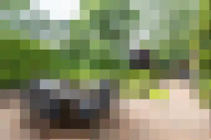 Rijksweg 53 Ten Boer thumbnail 63