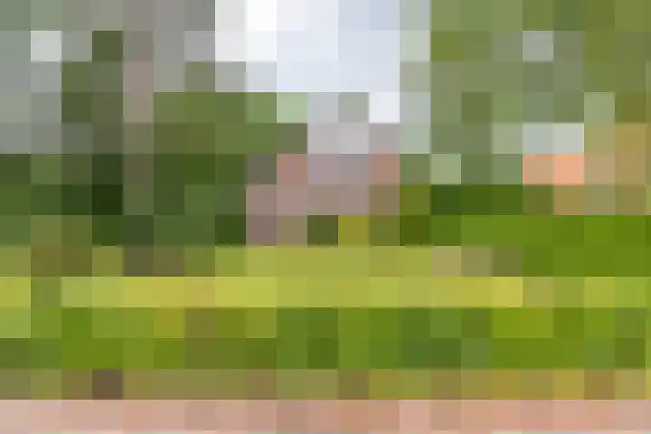 Rijksweg 53 Ten Boer thumbnail 64