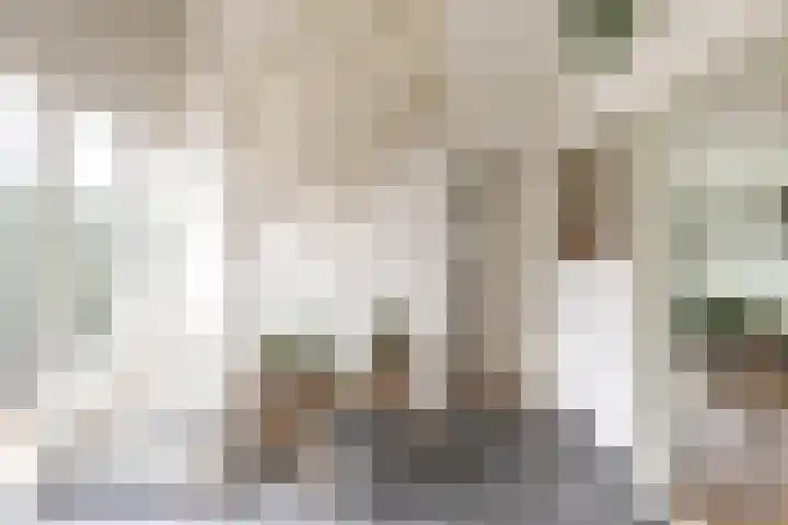 Rijksweg 53 Ten Boer thumbnail 8