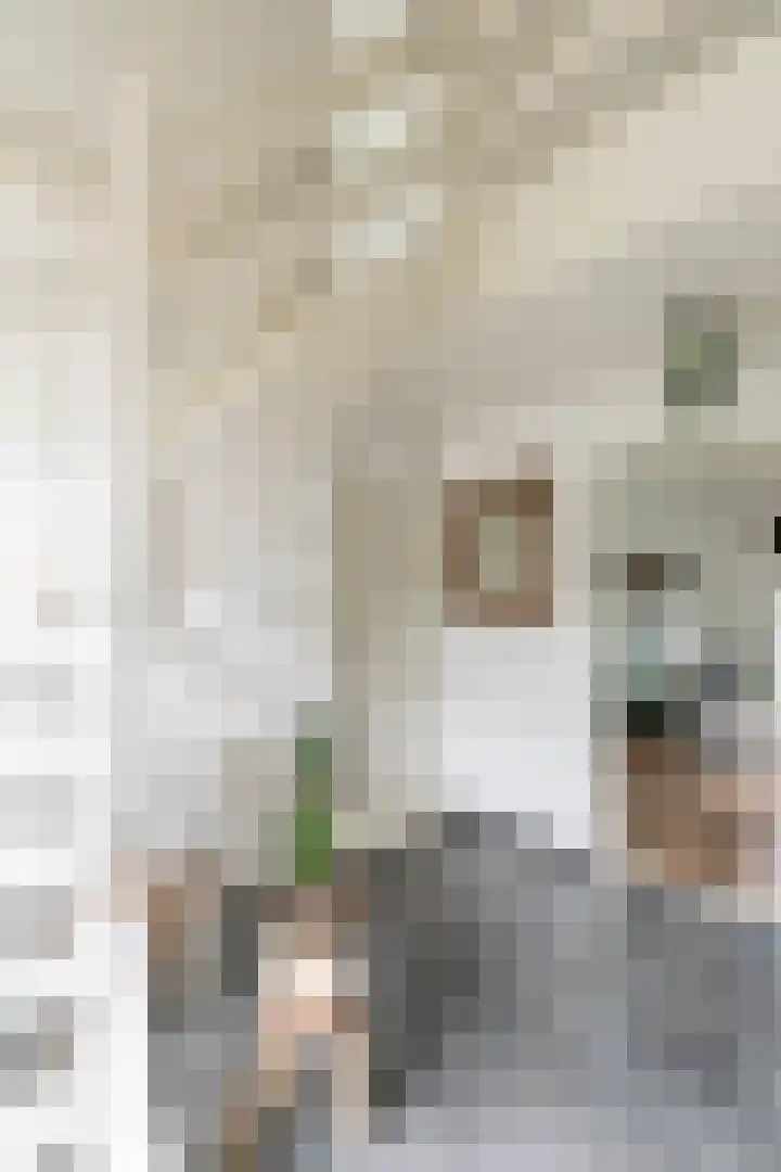 Rijksweg 53 Ten Boer thumbnail 9