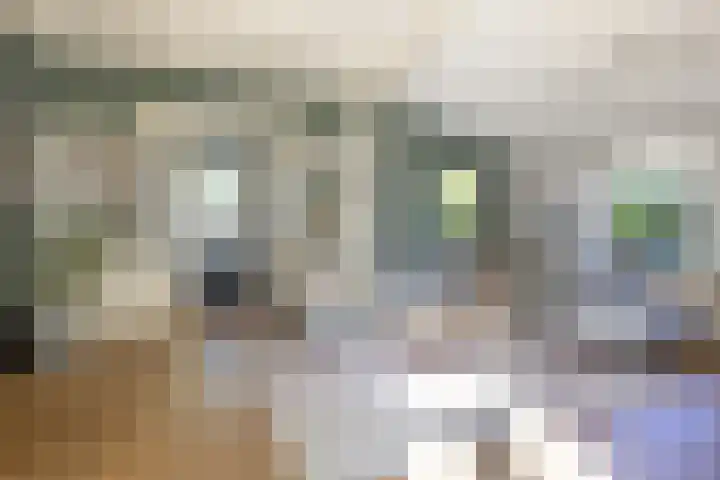 Rijksweg 56 Limmen thumbnail 10