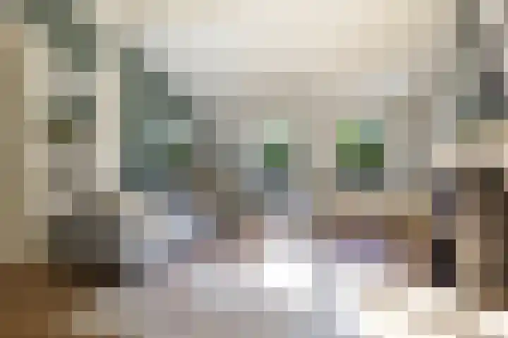 Rijksweg 56 Limmen thumbnail 11