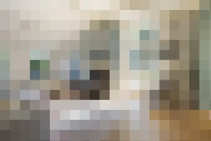 Rijksweg 56 Limmen thumbnail 13