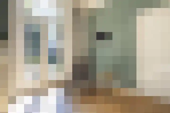 Rijksweg 56 Limmen thumbnail 15