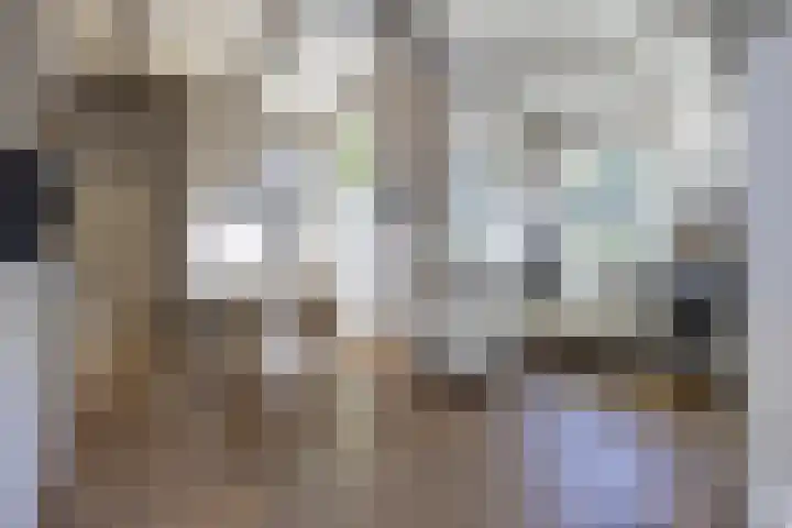 Rijksweg 56 Limmen thumbnail 17