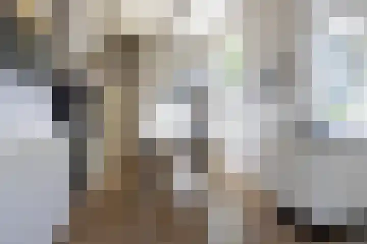 Rijksweg 56 Limmen thumbnail 18