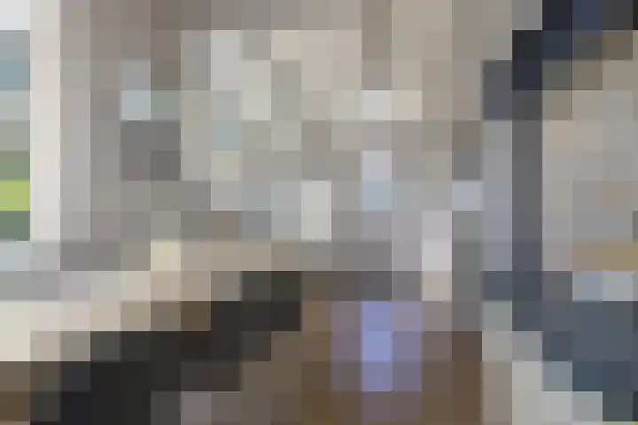 Rijksweg 56 Limmen thumbnail 20