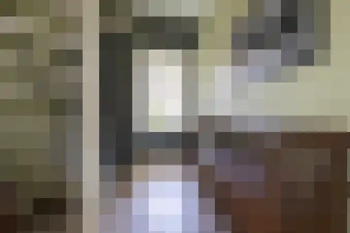 Rijksweg 56 Limmen thumbnail 23