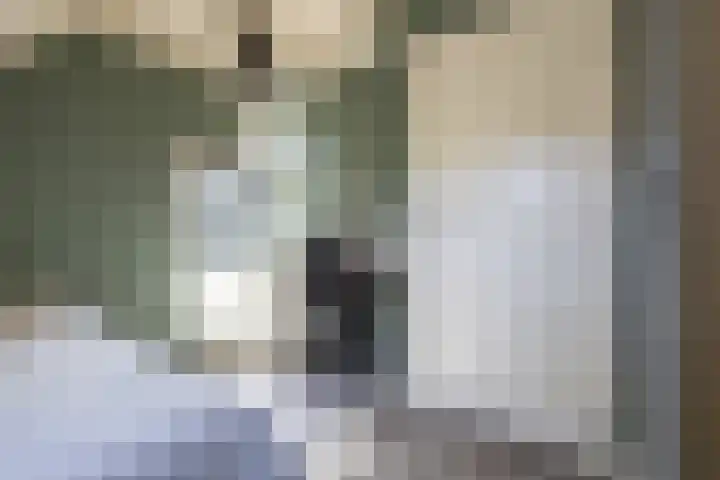 Rijksweg 56 Limmen thumbnail 35