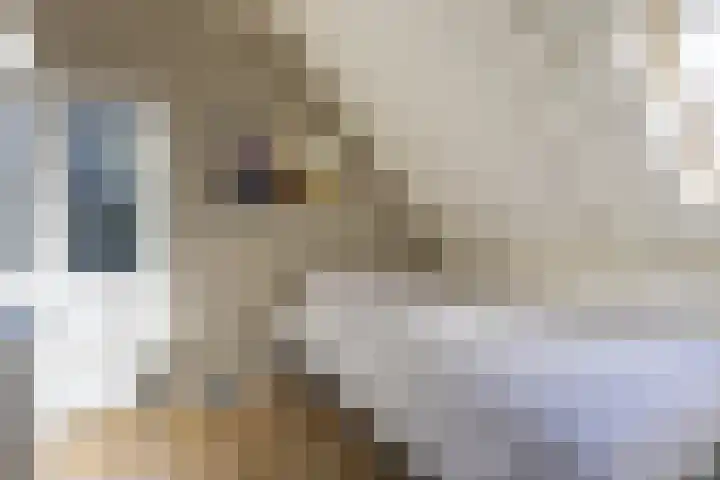 Rijksweg 56 Limmen thumbnail 37