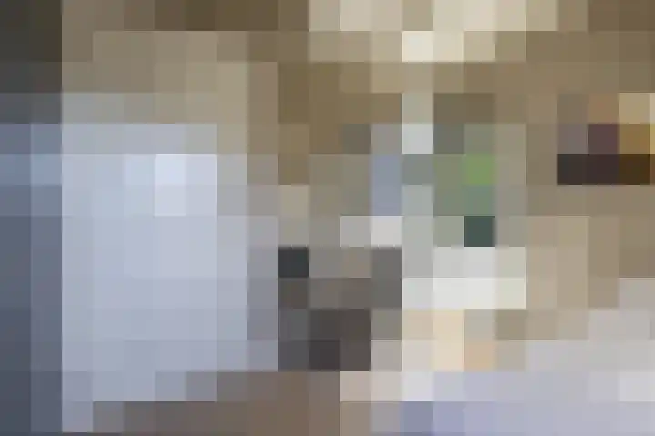 Rijksweg 56 Limmen thumbnail 38