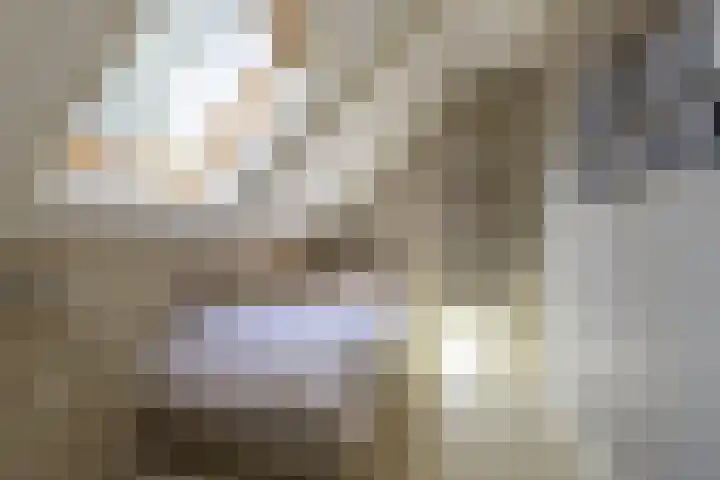 Rijksweg 56 Limmen thumbnail 40