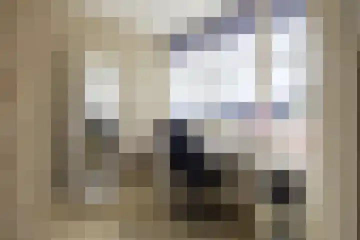 Rijksweg 56 Limmen thumbnail 42