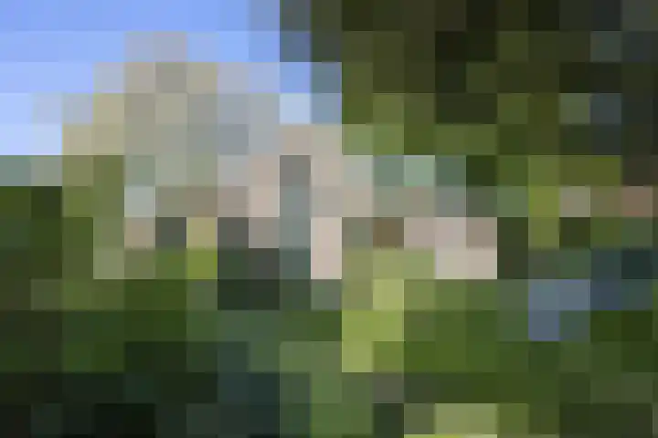 Rijksweg 56 Limmen thumbnail 43