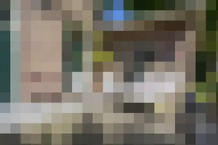 Rijksweg 56 Limmen thumbnail 45