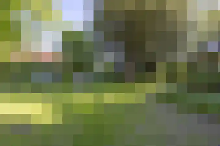 Rijksweg 56 Limmen thumbnail 47