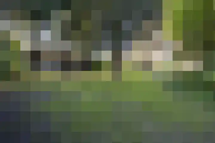 Rijksweg 56 Limmen thumbnail 48