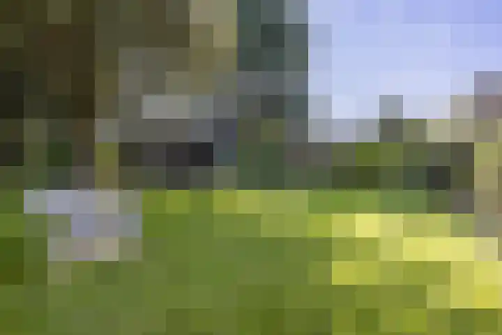 Rijksweg 56 Limmen thumbnail 49