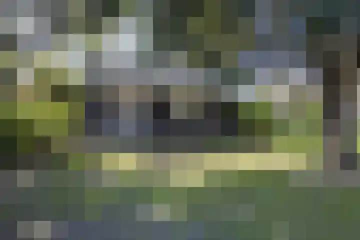 Rijksweg 56 Limmen thumbnail 50