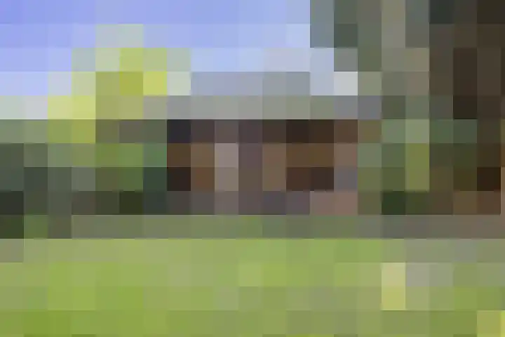 Rijksweg 56 Limmen thumbnail 52