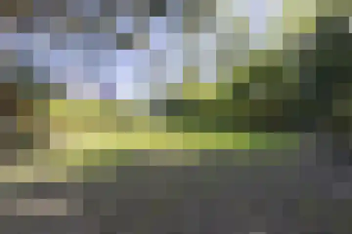 Rijksweg 56 Limmen thumbnail 54