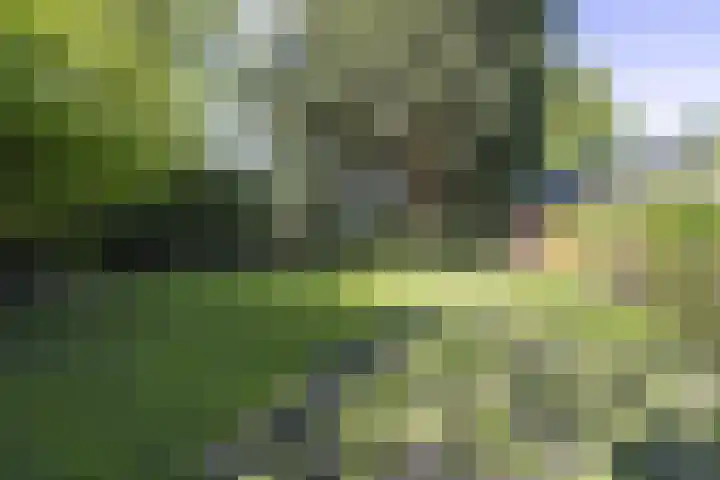 Rijksweg 56 Limmen thumbnail 55