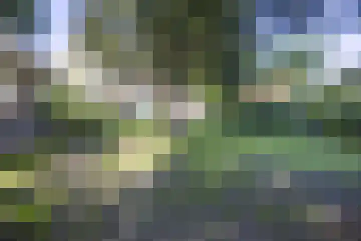 Rijksweg 56 Limmen thumbnail 56