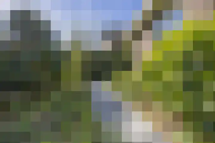 Rijksweg 56 Limmen thumbnail 57