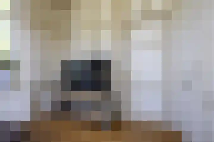 Rijksweg 56 Limmen thumbnail 6