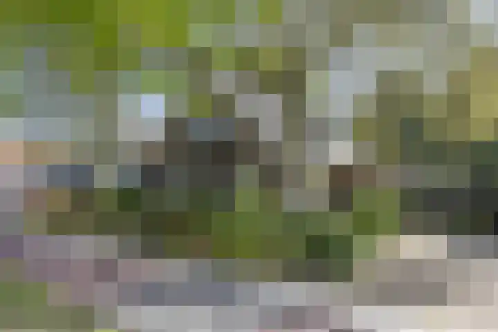 Rijksweg 56 Limmen thumbnail 60