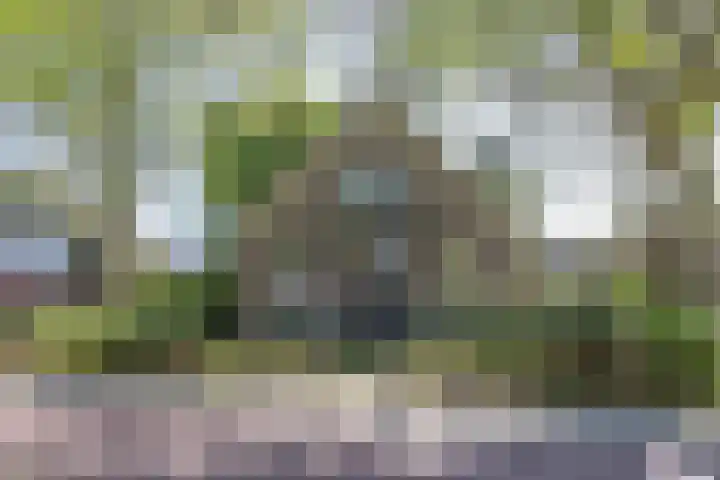 Rijksweg 56 Limmen thumbnail 61