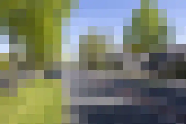 Rijksweg 56 Limmen thumbnail 62