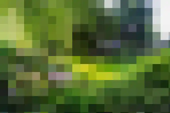 Rijksweg 56 Limmen thumbnail 63