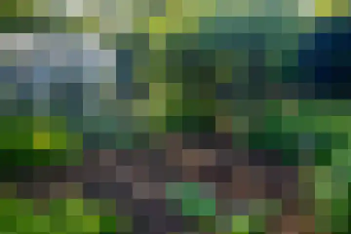 Rijksweg 56 Limmen thumbnail 64