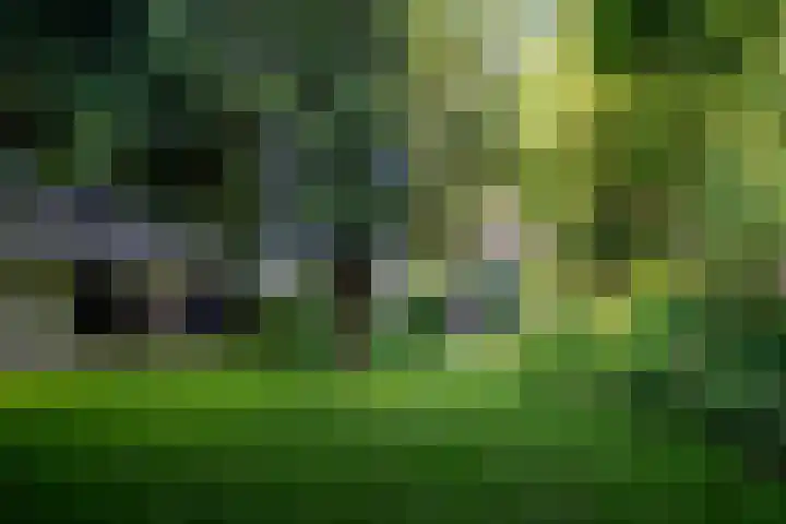 Rijksweg 56 Limmen thumbnail 65